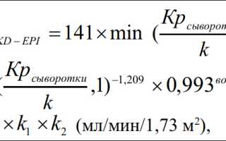 Формула расчета СКФ по креатинину в крови и в моче, как рассчитать скорость клубочковой фильтрации на калькуляторе