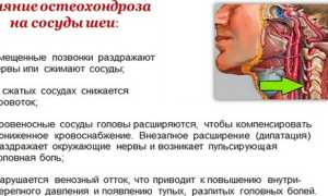 УЗИ позвоночника — когда назначают и что показывает