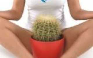 Мёд — эффективное народное средство от молочницы