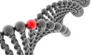 Синдром Дауна признаки при беременности
