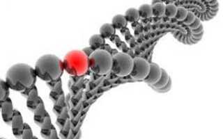 Синдром Дауна признаки при беременности