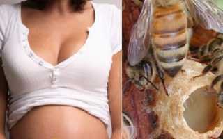 Перга при беременности