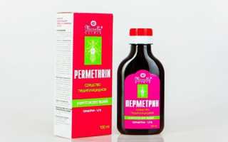 Педикулез у детей — пути заражения, симптомы, диагностика и лечение