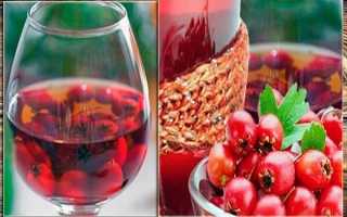 Боярышник–главный целитель сердца! Его полезные свойства, противопоказания и применение в народной медицине