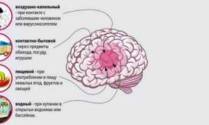 Менингит – симптомы и лечение, прогноз и профилактика