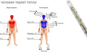 Пониженная температура тела человека — причины и первая помощь