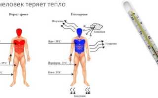 Пониженная температура тела человека — причины и первая помощь
