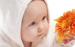 Экофурил в капсулах