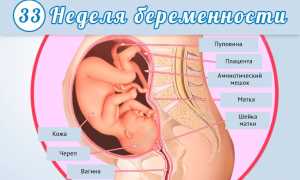 Особенности и последствия родов на 33 неделе беременности