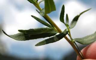 Вопросы из ваших писем–выпуск № 1