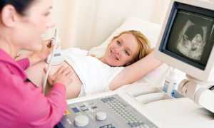 Актуальная статистика ЭКО протоколов в России и мире