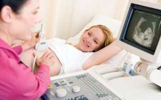 Актуальная статистика ЭКО протоколов в России и мире