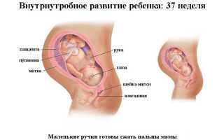 Причины родов на 37 неделе беременности, возможные осложнения