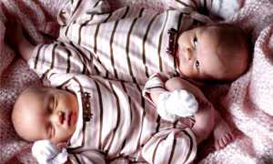 Что нужно знать об оформлении отпуска по беременности и родам