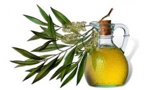 Масло чайного дерева — полезные свойства и правила применения