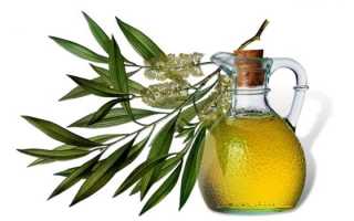 Масло чайного дерева — полезные свойства и правила применения