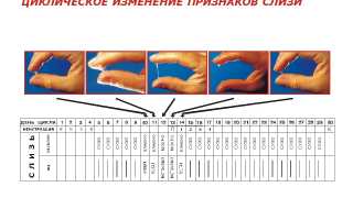 Какие бывают выделения до, во время и после овуляции?