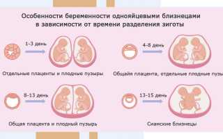Двойни при ЭКО
