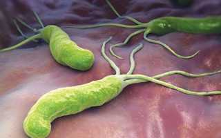 Схема лечения хеликобактер пилори