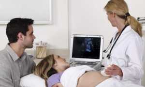 Второй скрининг при беременности и что туда входит?