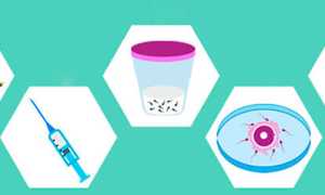 Подробно об ЭКО в естественном цикле: шансы, отзывы и цена