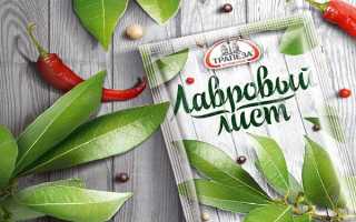 Лавровый лист–лечебные свойства и особенности применения