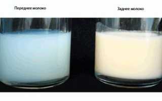 Как повысить жирность грудного молока