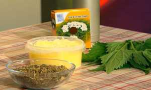 Тысячелистник – полезные свойства и противопоказания: применение растения