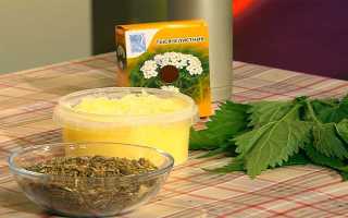 Тысячелистник – полезные свойства и противопоказания: применение растения