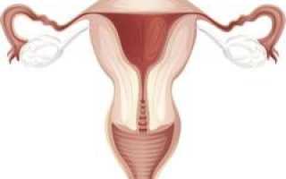 Существует ли генетическая память матки?