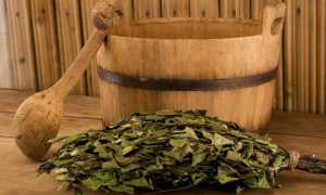 Можно ли ходить в баню беременным?