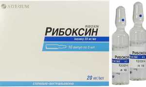 Рибоксин: инструкция по применению, аналоги, цены, отзывы