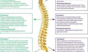 Почему возникают боли в спине и их лечение