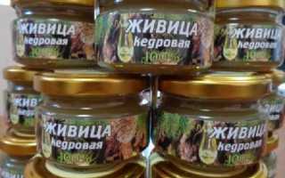 Кедровая живица — лечебные свойства и применение