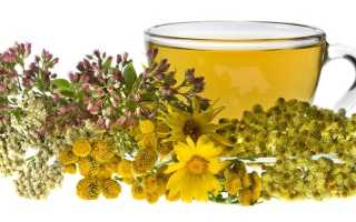 Как проводится фитотерапия при климаксе?