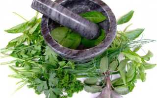 Самые популярные и эффективные травы для сокращения матки