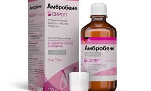 Ингалятор при влажном кашле у ребенка — правила использования