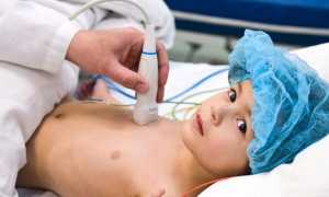 УЗИ печени – подготовка к процедуре ребенка и взрослого