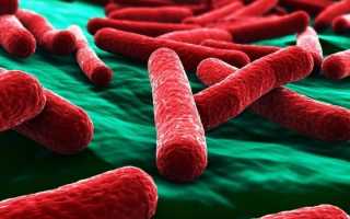 Абсцесс почки — симптомы и признаки заболевания, диагностика, способы лечения, осложнения