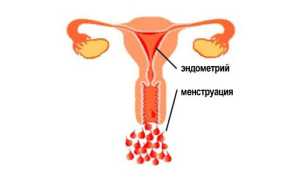 Могут ли идти месячные во время беременности?