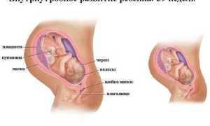Роды на 39 неделе, различия предвестников у первородящих и повторнородящих