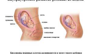 Последствия и прогнозы у родов на 28 неделе беременности