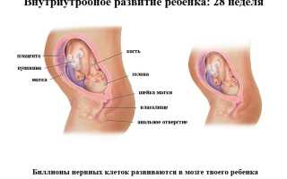 Последствия и прогнозы у родов на 28 неделе беременности
