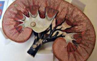 Можно ли алкоголь при хпн