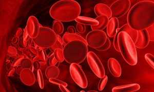 Общий анализ крови — как правильно подготовиться и сдать