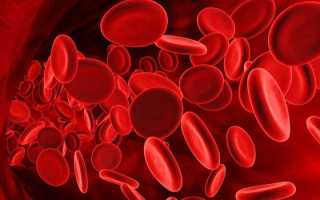 Общий анализ крови — как правильно подготовиться и сдать