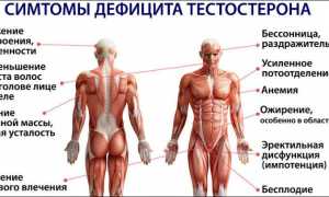 Как повысить тестостерон у мужчин при низком уровне гормона