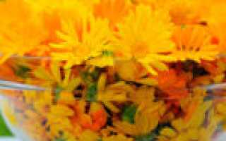 Эффективность использования календулы против молочницы