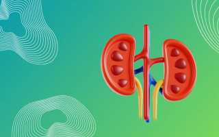 Анализ крови при заболевании почек