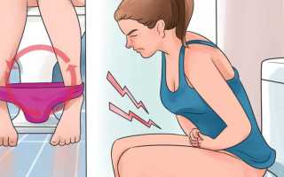 Катетеризация мочевого пузыря кота — Zhivomag